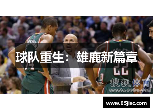 球队重生：雄鹿新篇章