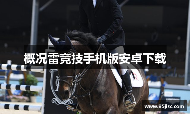 概况雷竞技手机版安卓下载